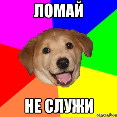 ломай не служи, Мем Advice Dog