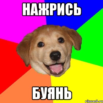 нажрись буянь, Мем Advice Dog