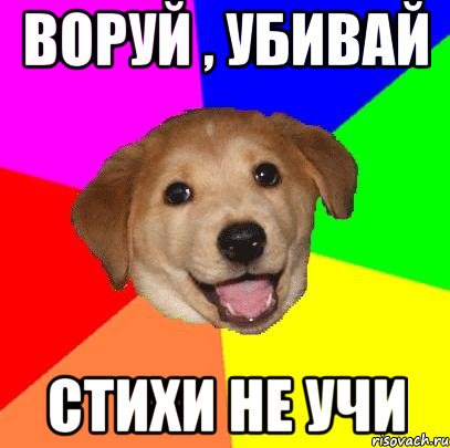 воруй , убивай стихи не учи, Мем Advice Dog