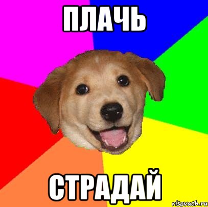 плачь страдай, Мем Advice Dog