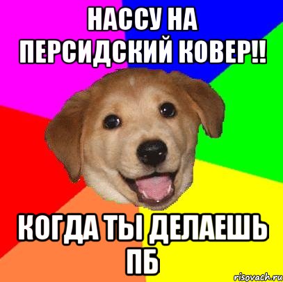 нассу на персидский ковер!! когда ты делаешь пб, Мем Advice Dog