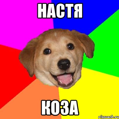 настя коза, Мем Advice Dog