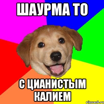 шаурма то с цианистым калием, Мем Advice Dog