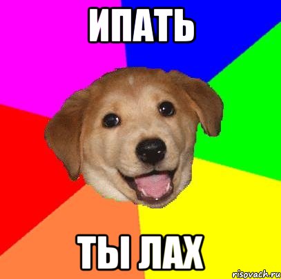 ипать ты лах, Мем Advice Dog