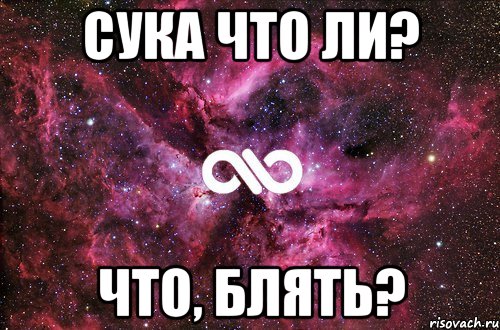 сука что ли? что, блять?, Мем офигенно