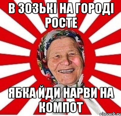 в зозькі на городі росте ябка йди нарви на компот