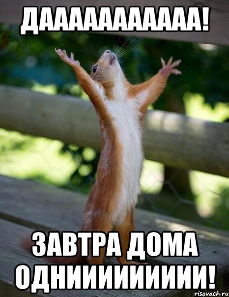 дааааааааааа! завтра дома одниииииииии!, Мем    белка молится