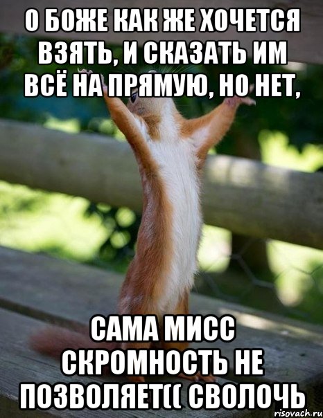 о боже как же хочется взять, и сказать им всё на прямую, но нет, сама мисс скромность не позволяет(( сволочь, Мем    белка молится