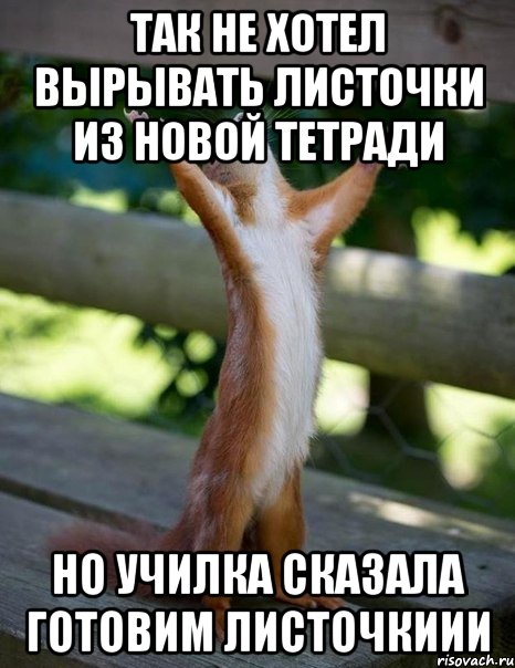 так не хотел вырывать листочки из новой тетради но училка сказала готовим листочкиии, Мем    белка молится