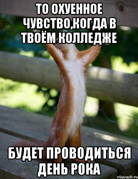 то охуенное чувство,когда в твоём колледже будет проводиться день рока, Мем    белка молится