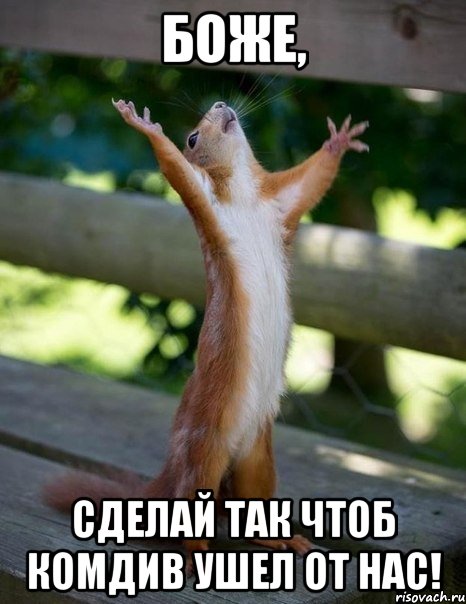боже, сделай так чтоб комдив ушел от нас!, Мем    белка молится
