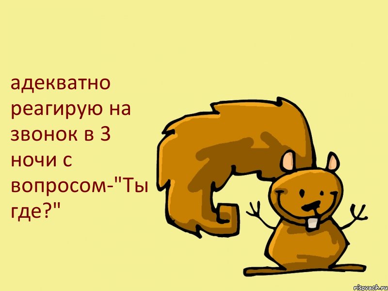 адекватно реагирую на звонок в 3 ночи с вопросом-"Ты где?", Комикс  белка