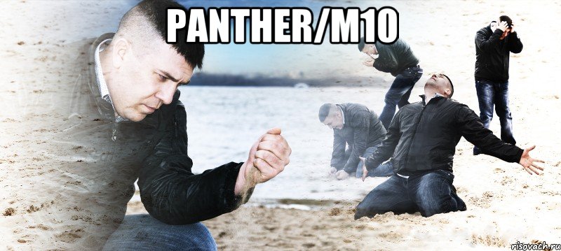 panther/m10 , Мем Мужик сыпет песок на пляже