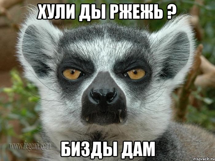 хули ды ржежь ? бизды дам