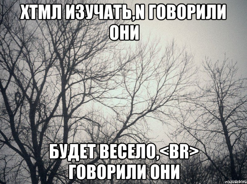 хтмл изучать,n говорили они будет весело,<br> говорили они, Мем  будет весело говорили они