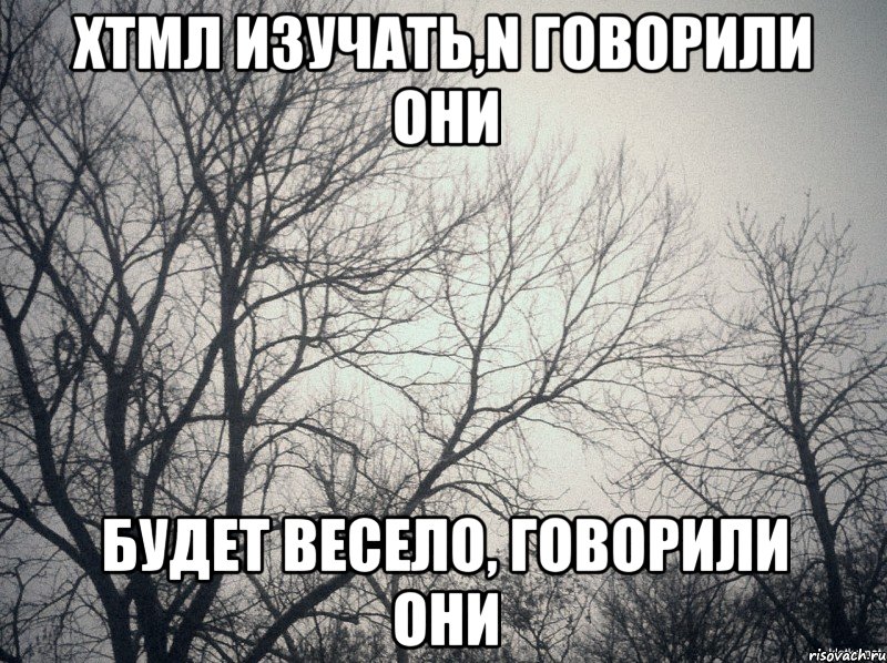 хтмл изучать,n говорили они будет весело, говорили они, Мем  будет весело говорили они