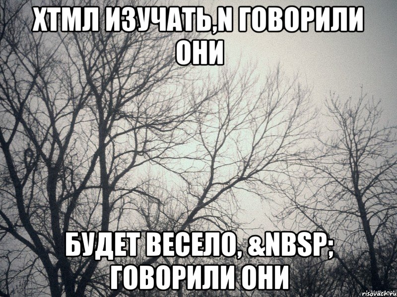 хтмл изучать,n говорили они будет весело, &nbsp; говорили они, Мем  будет весело говорили они