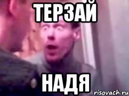 терзай надя