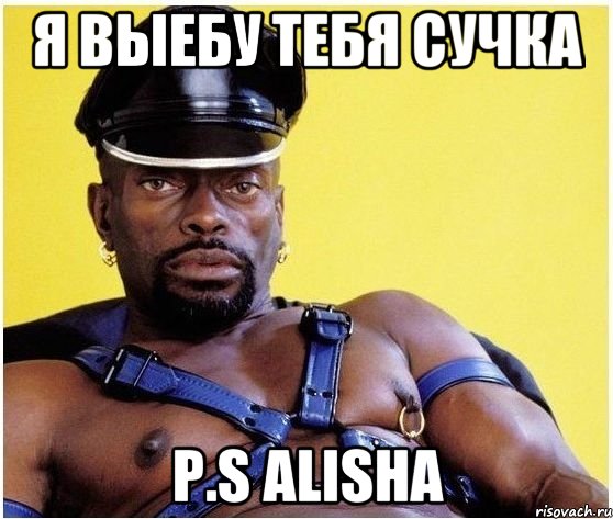 я выебу тебя сучка p.s alisha, Мем Черный властелин