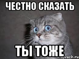 честно сказать ты тоже