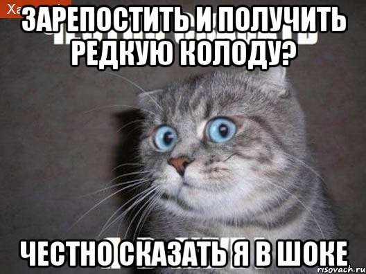 зарепостить и получить редкую колоду? честно сказать я в шоке, Мем  удивлённый кот