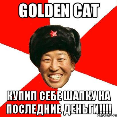 golden cat купил себе шапку на последние деньги!!!, Мем China