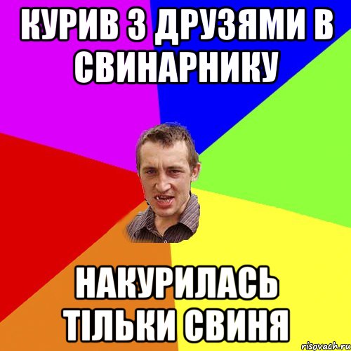 курив з друзями в свинарнику накурилась тільки свиня, Мем Чоткий паца