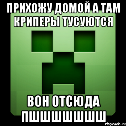 прихожу домой а там криперы тусуются вон отсюда пшшшшшшш, Мем Creeper