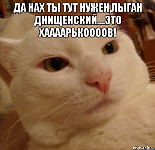 да нах ты тут нужен,лыган днищенский....это хаааарькоооов! 