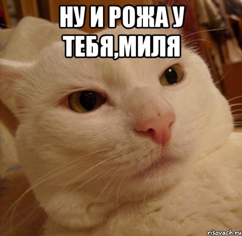 ну и рожа у тебя,миля 