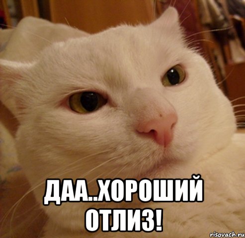  даа..хороший отлиз!