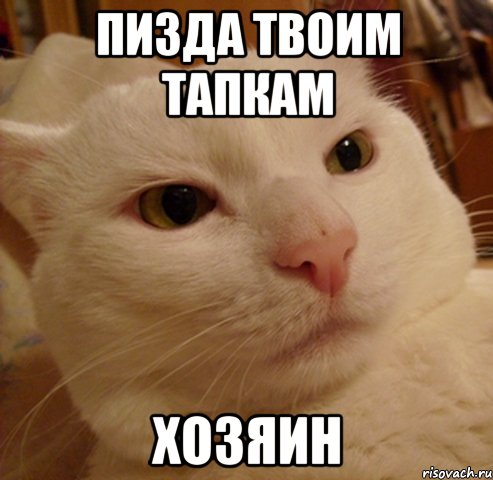 пизда твоим тапкам хозяин