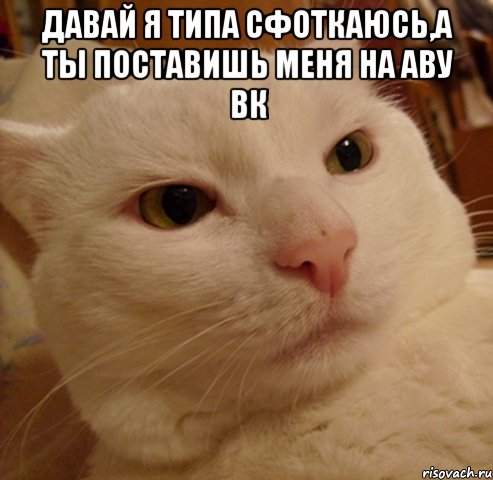 давай я типа сфоткаюсь,а ты поставишь меня на аву вк 