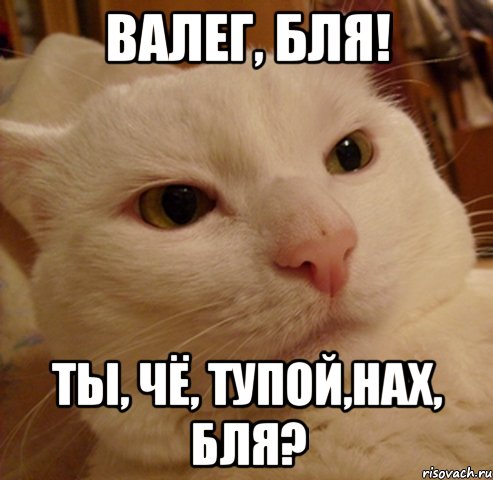 валег, бля! ты, чё, тупой,нах, бля?