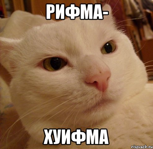 рифма- хуифма