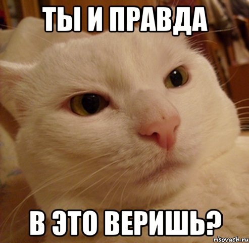 ты и правда в это веришь?