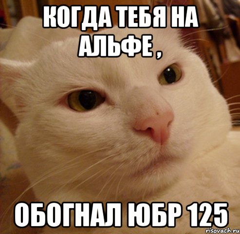 когда тебя на альфе , обогнал юбр 125