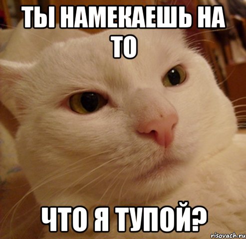 ты намекаешь на то что я тупой?
