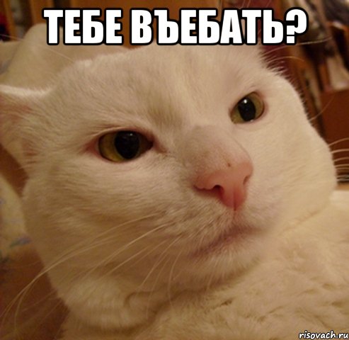 тебе въебать? 