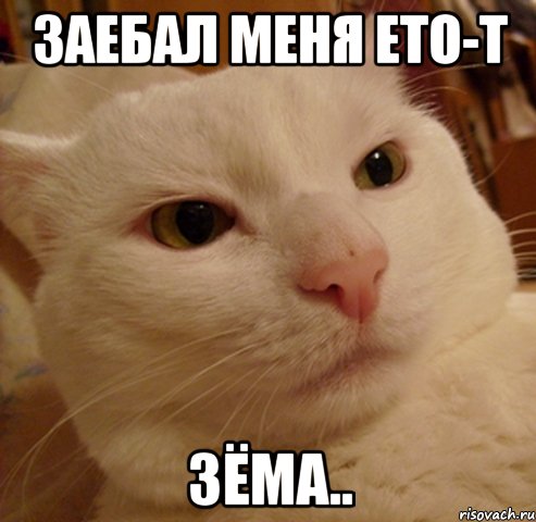 заебал меня ето-т зёма..