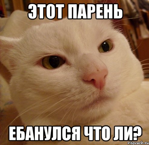 этот парень ебанулся что ли?