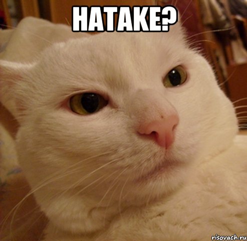 hatake? 