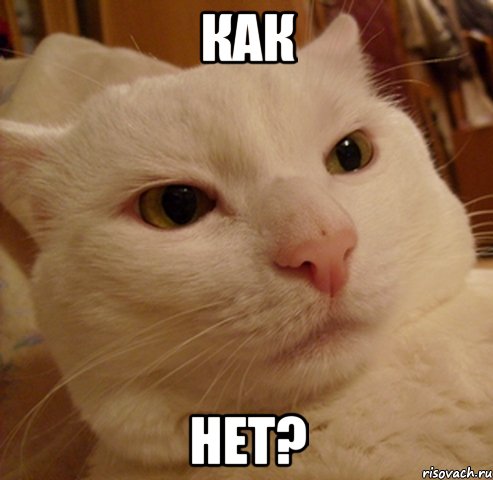 как нет?