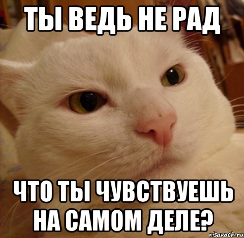 ты ведь не рад что ты чувствуешь на самом деле?