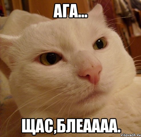 ага... щас,блеаааа.