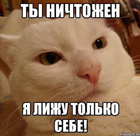 ты ничтожен я лижу только себе!