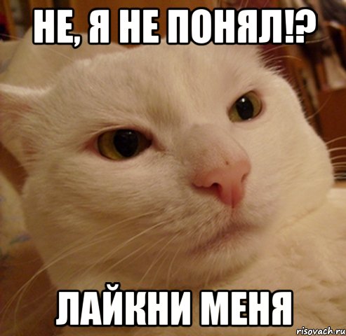 не, я не понял!? лайкни меня