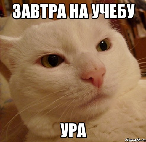завтра на учебу ура
