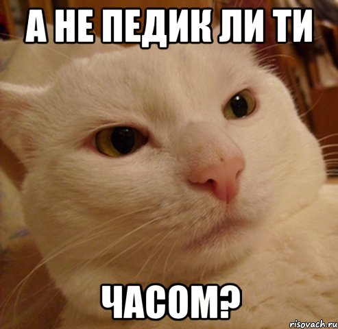 а не педик ли ти часом?