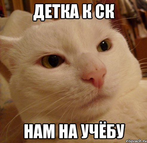 детка к ск нам на учёбу